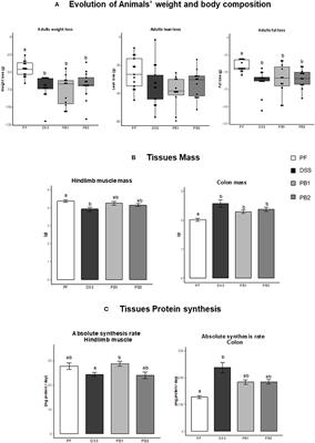 Anti-inflammatory Streptococcus thermophilus CNRZ160 limits sarcopenia induced by low-grade inflammation in older adult rats